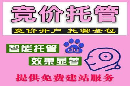SEM关键词优化案例实战技巧